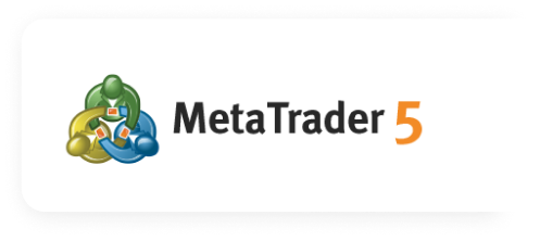 Meta Trader 5